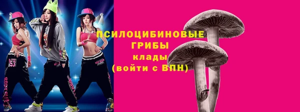 a pvp Алзамай