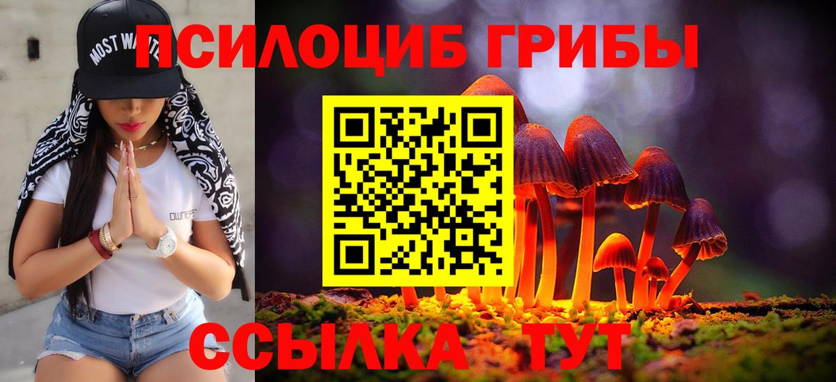 даркнет сайт  Вход с VPN  Анжеро-Судженск  Галлюциногенные грибы GOLDEN TEACHER 